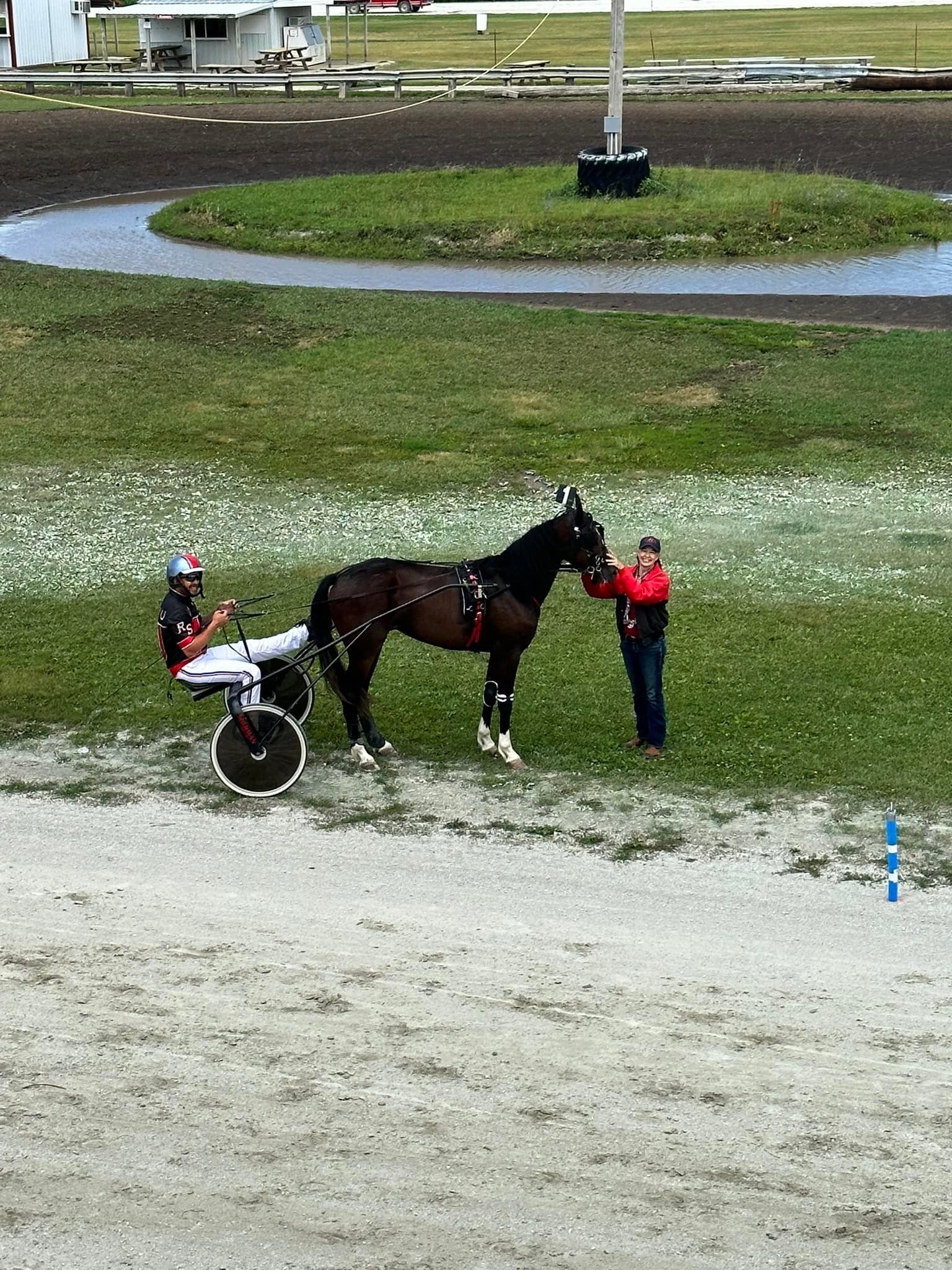 What Cheer hosts kickoff of Iowa Sired Harnesslink