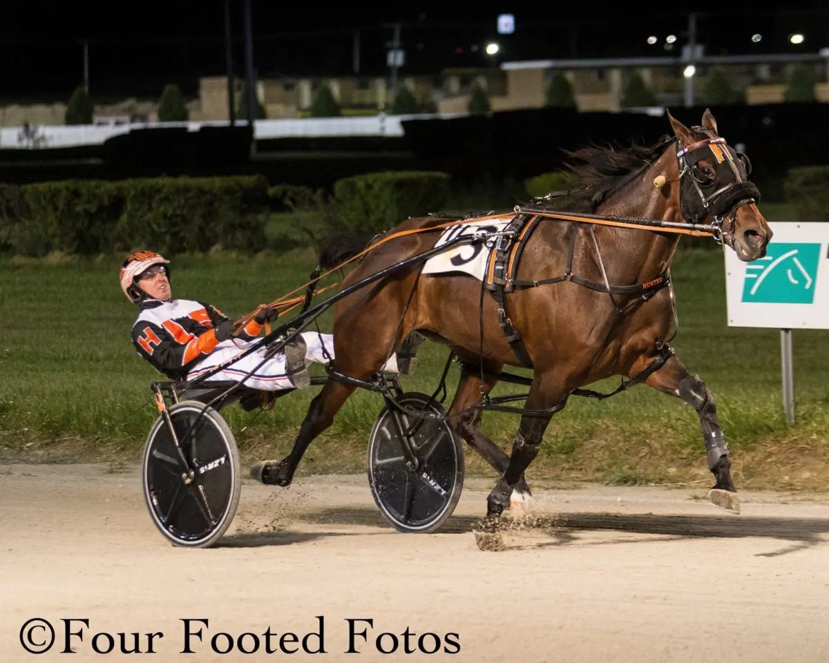 Firstyear conditioner Amy Husted on the cusp of Hawthorne trainer