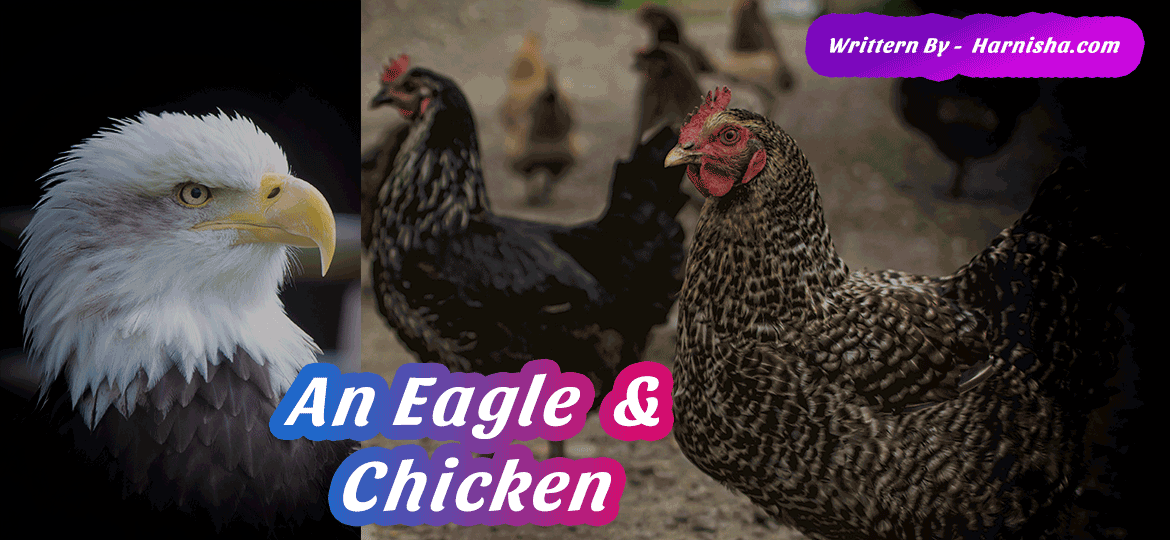 AN EAGLE AND CHICKENS Story that will teach you life lesson