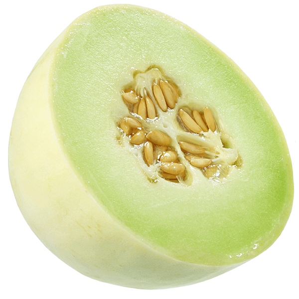 Melon Honeydew Green Haroldson Farms