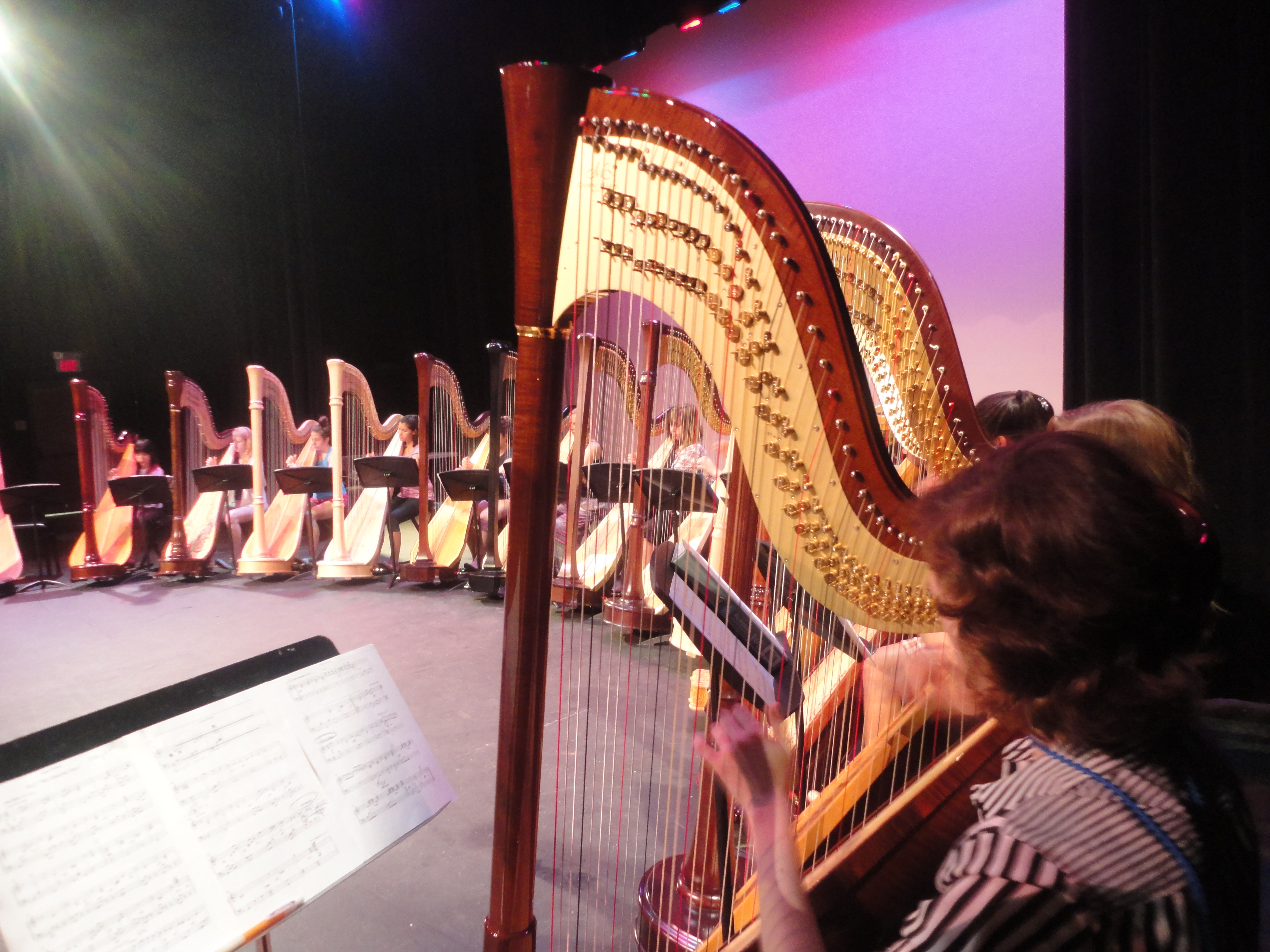 A Day at Camp Harp Column