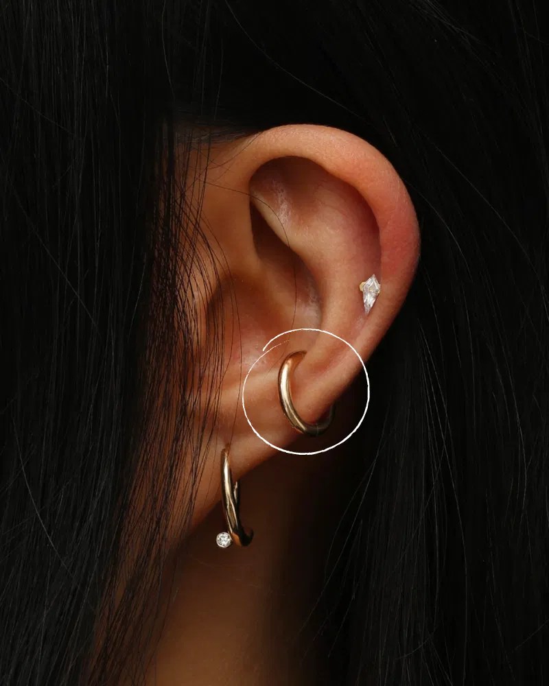 Discover 142+ earrings for inner conch piercing best seven.edu.vn