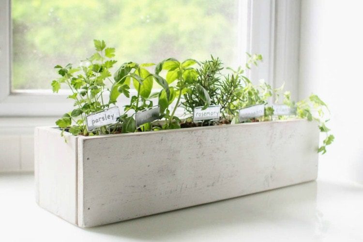 How To Make Your Own DIY Indoor Window Planter Box