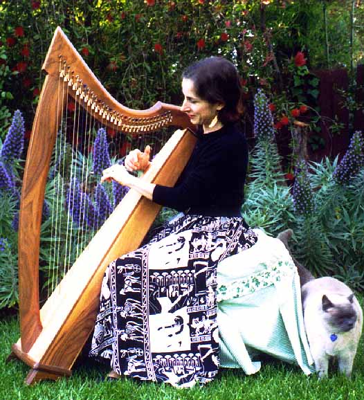 FAQ about harp lessons with Stephanie