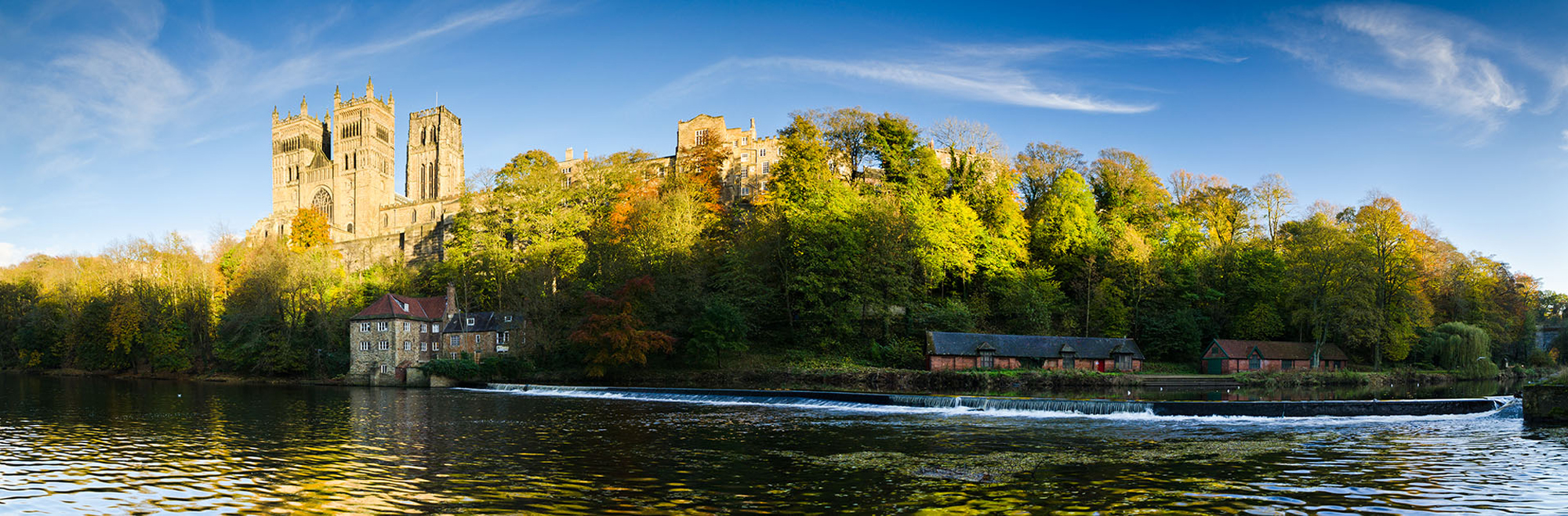 Properties Harringtons