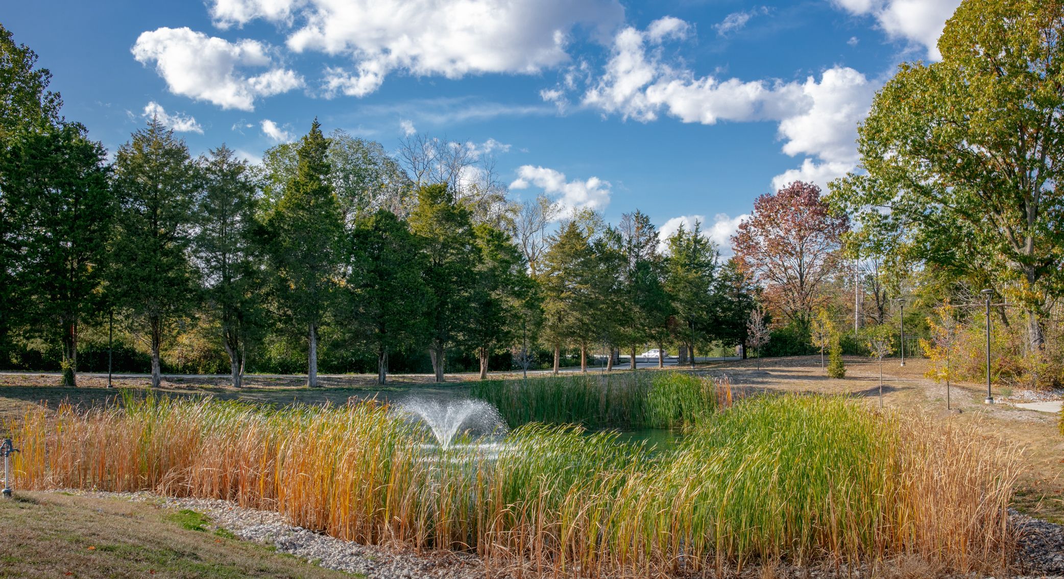 Gallery Facility Harris House St. Louis For More Than 50 Years