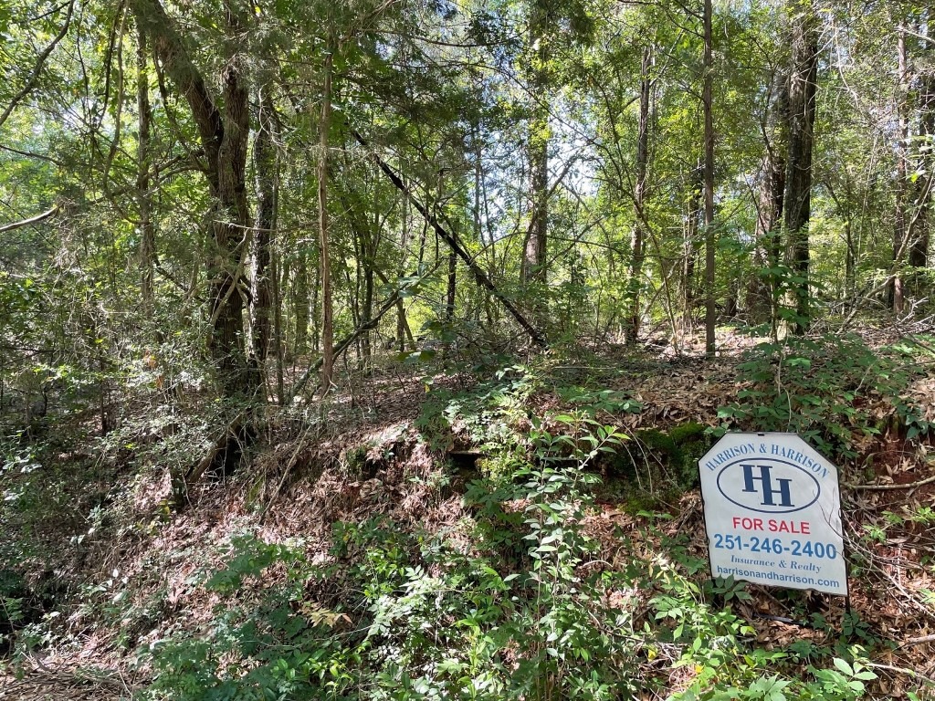 Foreman Drive in Jackson, AL Harrison & Harrison