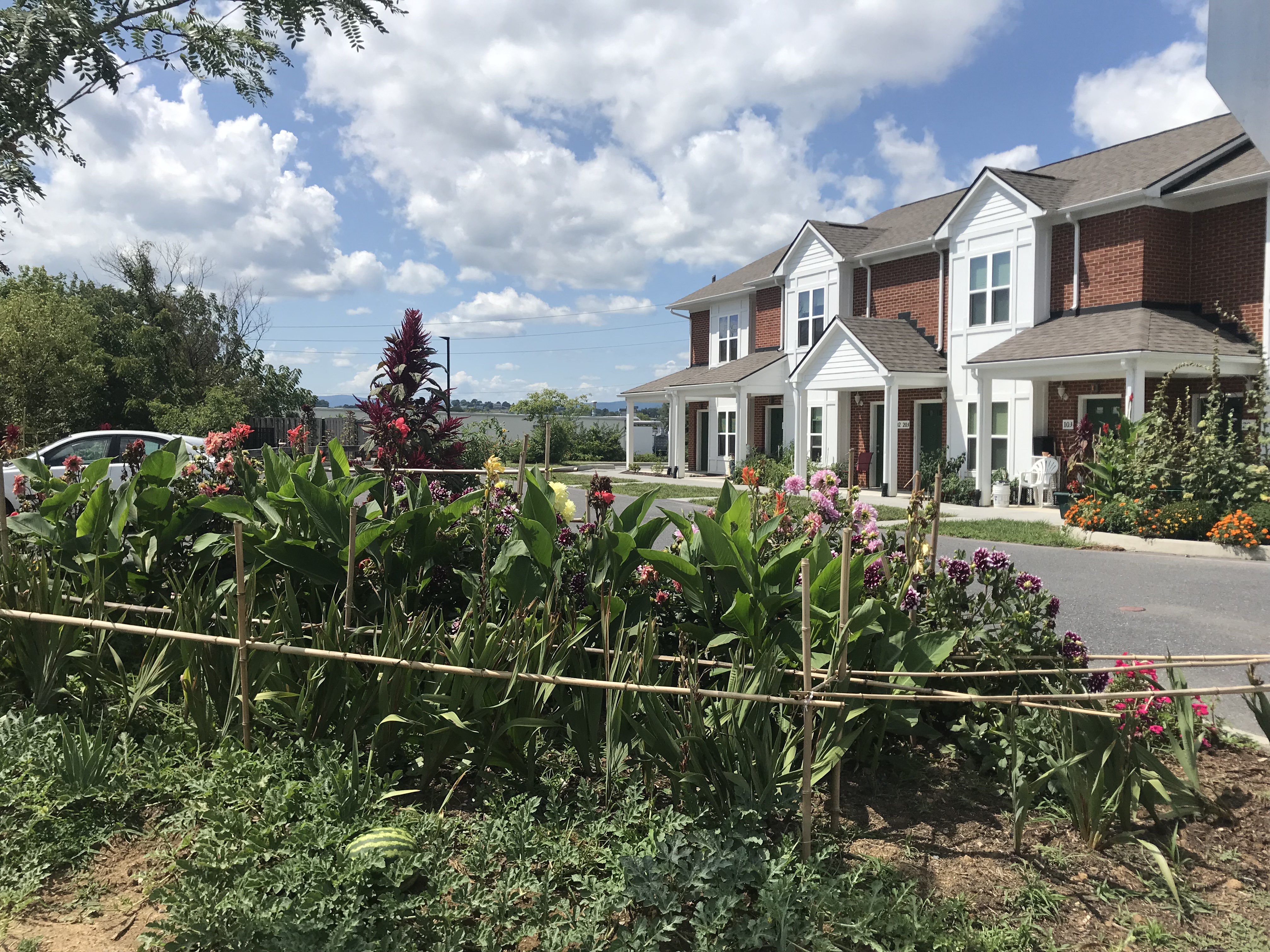 Harrisonburg Redevelopment & Housing Authority Section 8 Housing