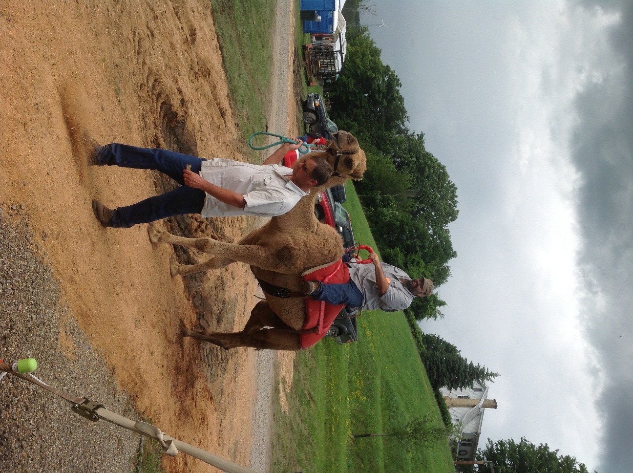 Gallery Harrison County Fair