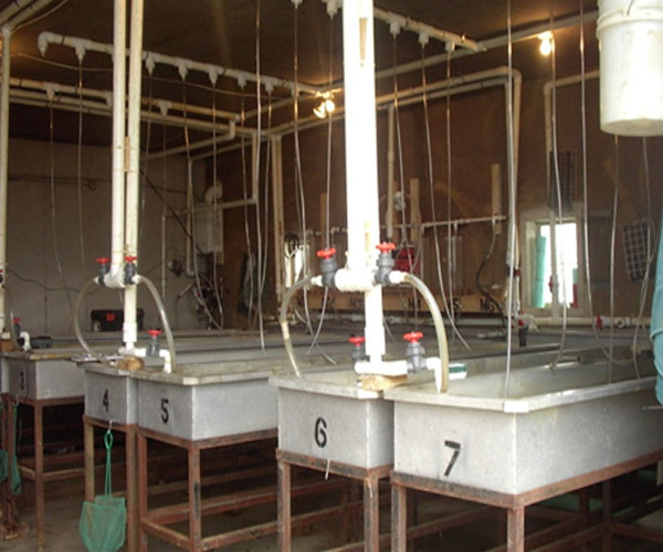 About Us Harrison Fishery, Inc. Pond Stocking, Lake Stocking, Fish