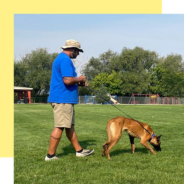 Working Dog Training Classes Harrisville Working Dogs Ogden Utah