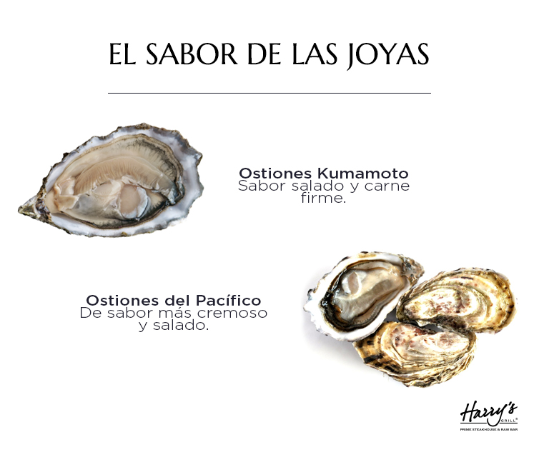 Ostiones El sabor de las joyas Harry's