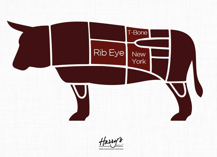 Diagrama Cortes De Carne