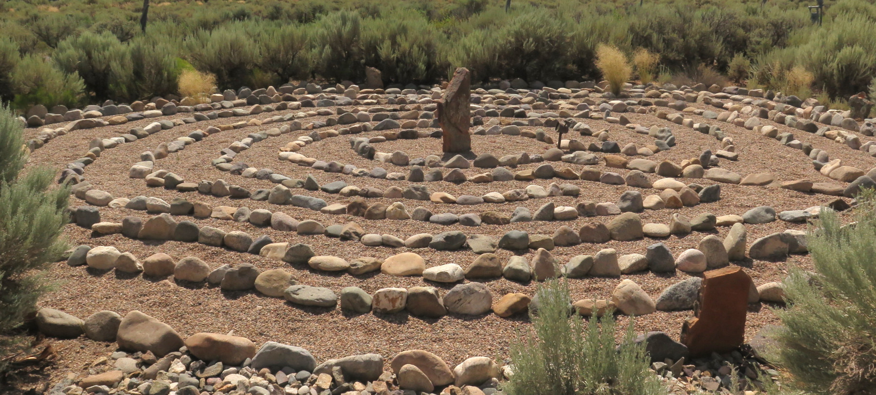 Growing Dahlias in a Hot Climate Ethne Clarke Hartley Botanic