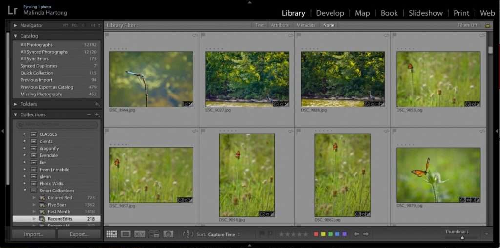 Lightroom & Photo Editing Lessons & Classes Hartong Digital