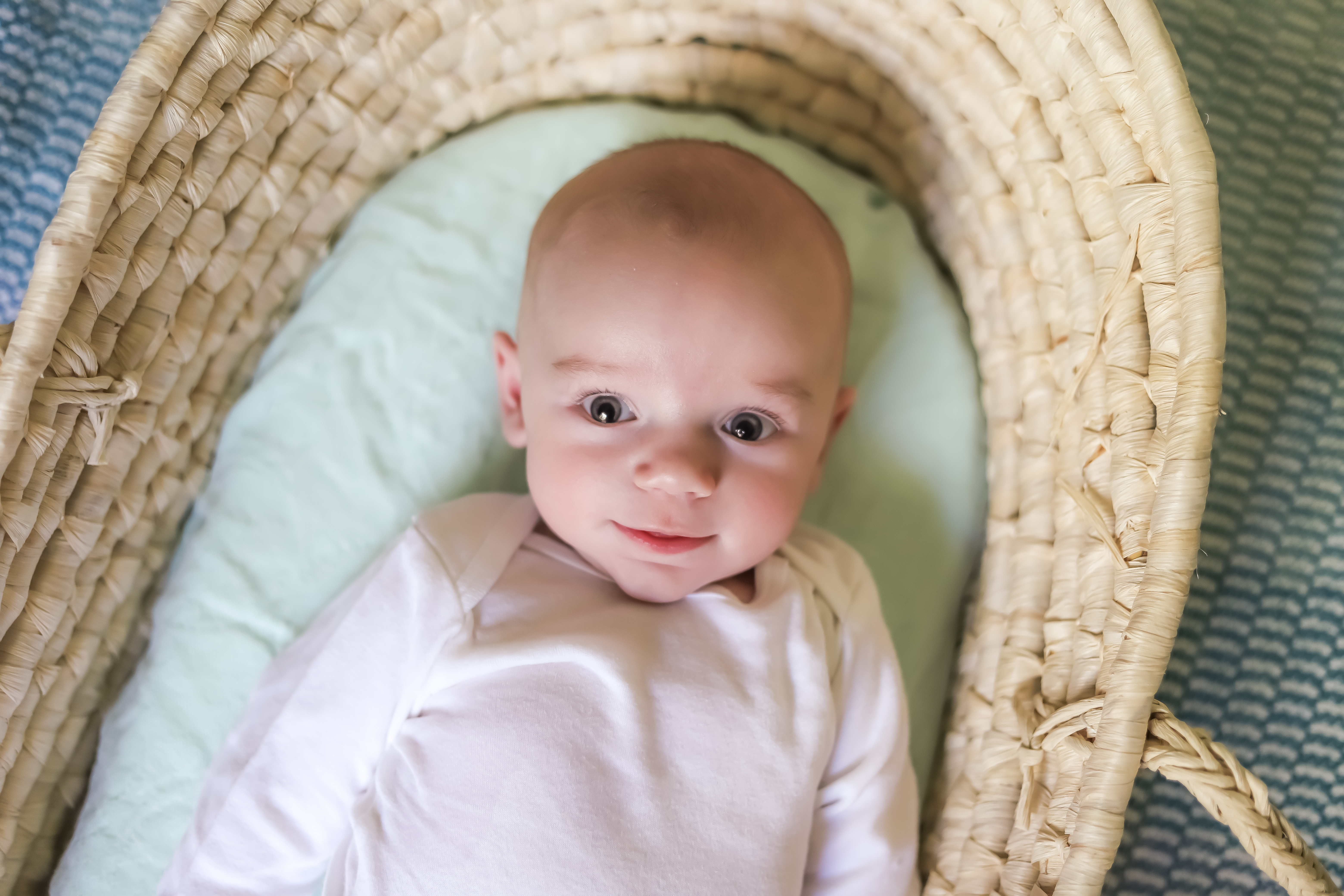 Baby In Moses Basket Harts of Palm Photography