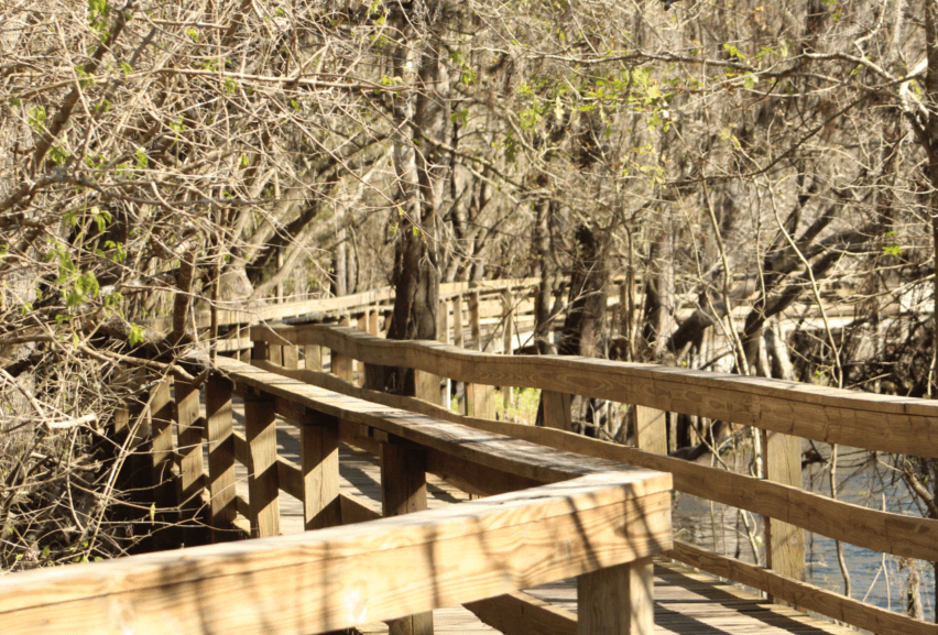 Contact Us Hart Springs