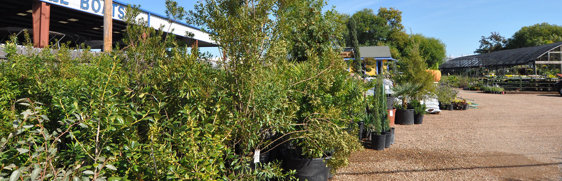 Hartwell's Nursery Nursery and Landscape Design Lewisville, TX