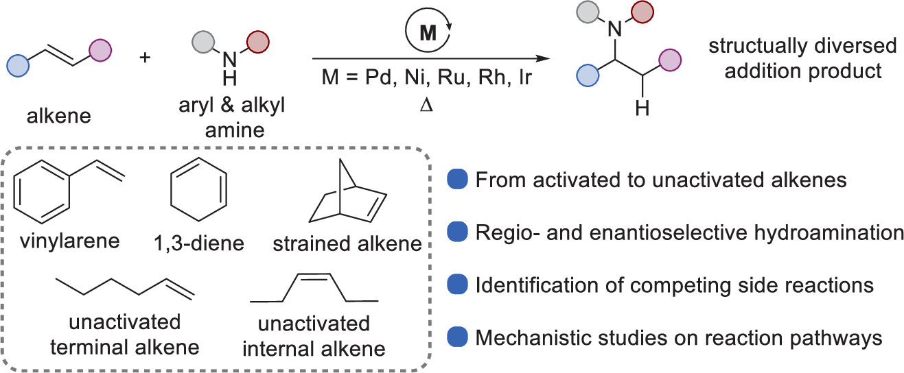 Progression of Hydroamination Catalyzed by Late TransitionMetal