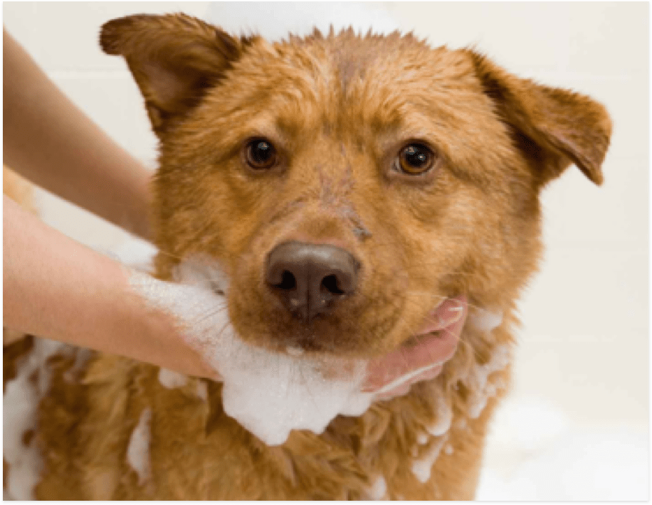 Learning Center Hartz