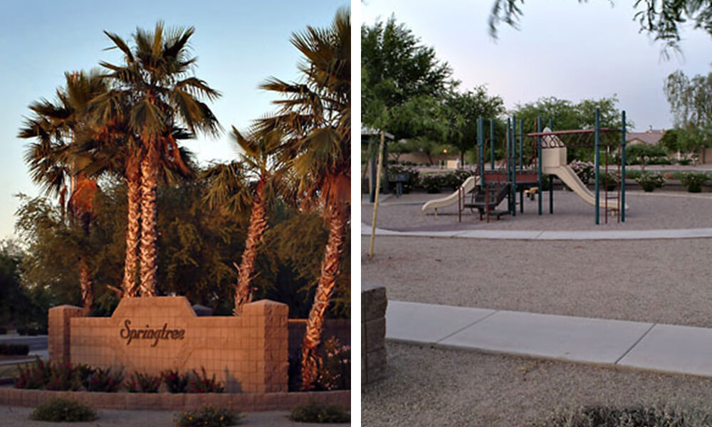 Springtree Harvard Investment