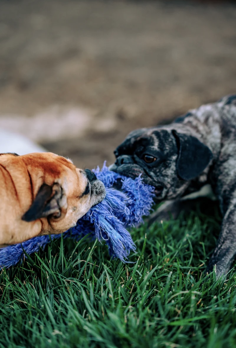 How Should I be Storing My Estate Plan? Harvest Law KC