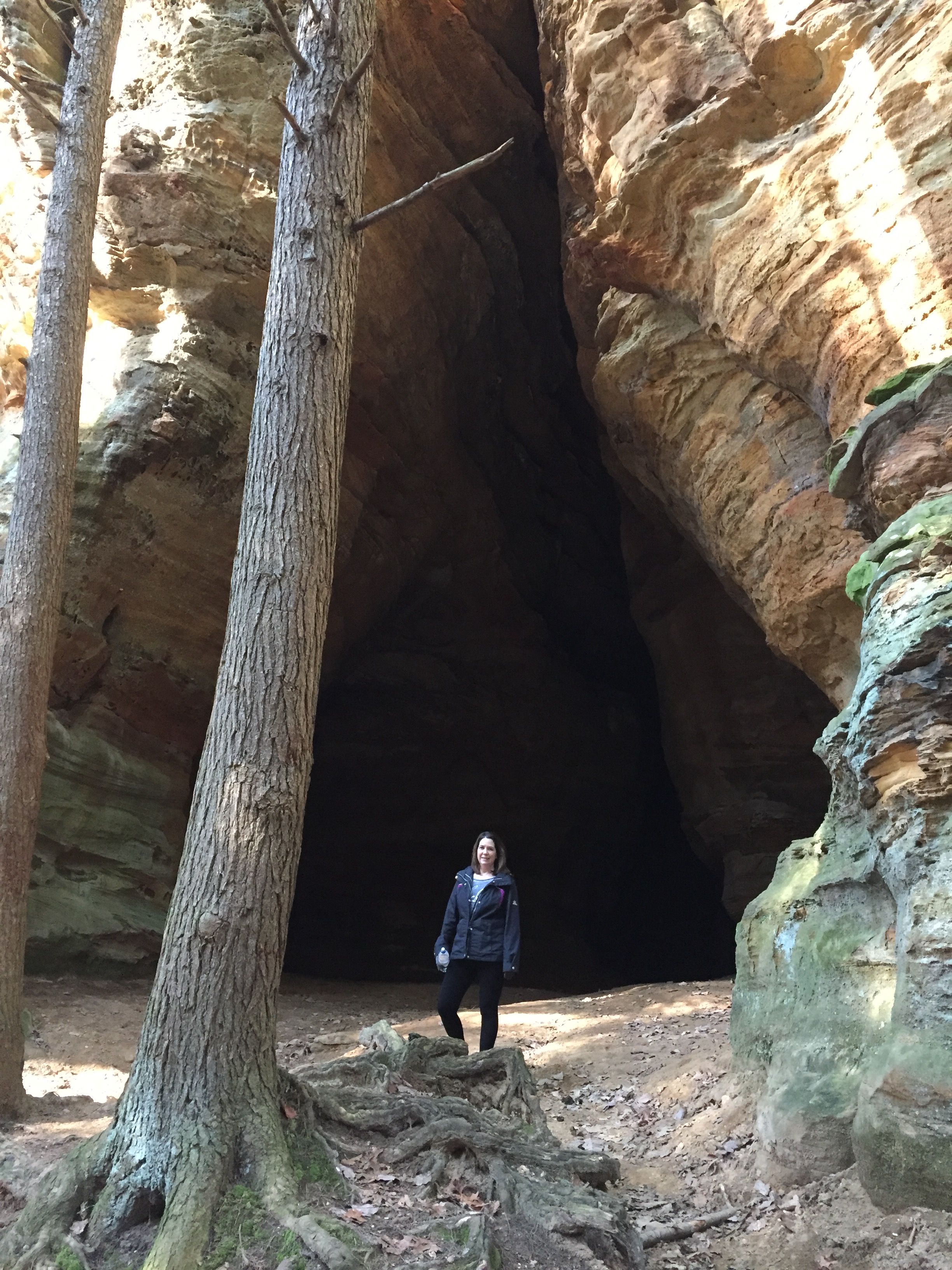 Harvest Moon Cottages