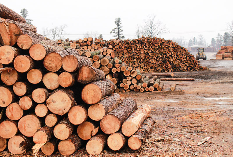 Harvey Pallets Company History