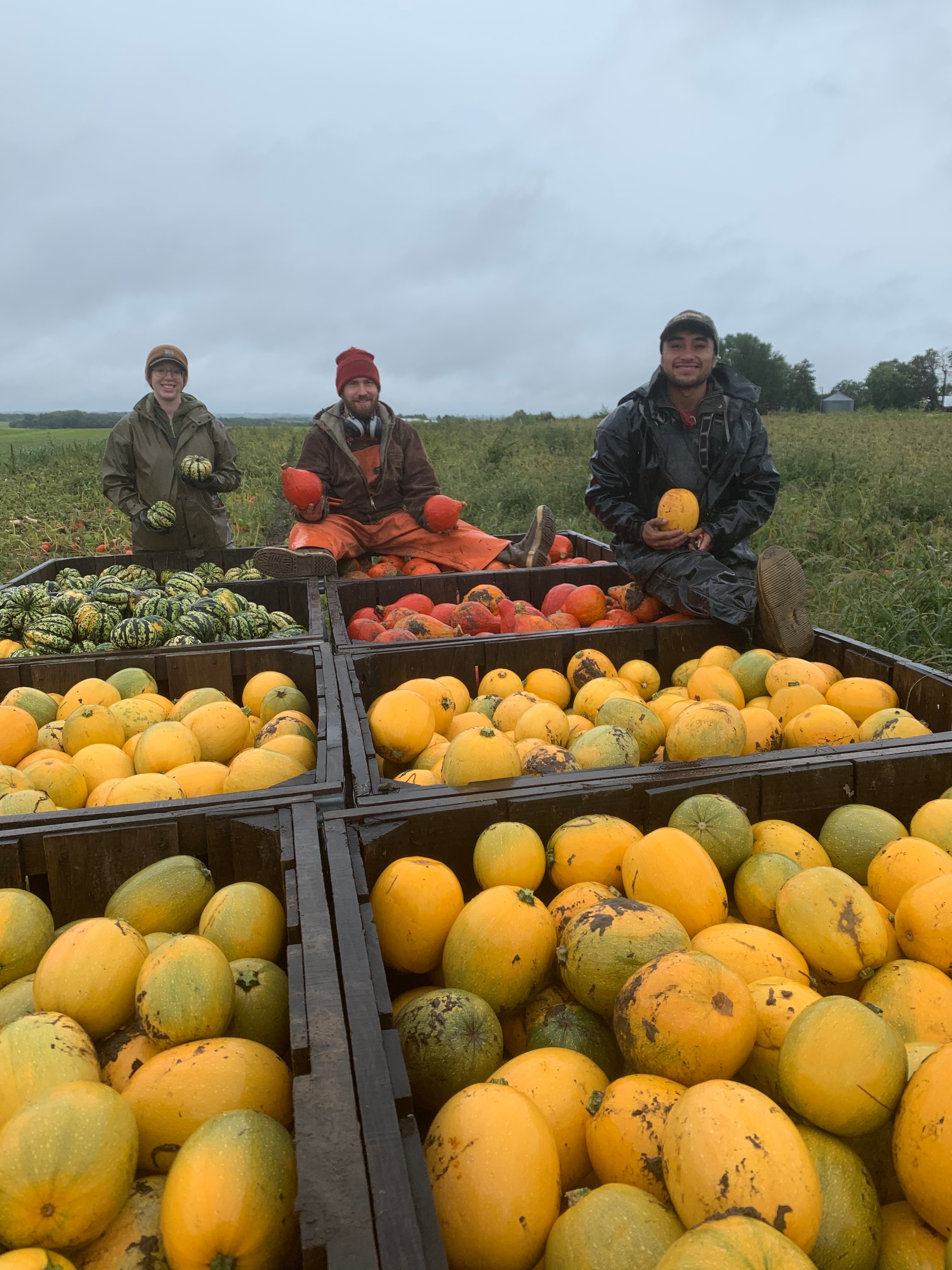 Liam on the Fall Harvest! Farm Happenings at Featherstone Farm Harvie