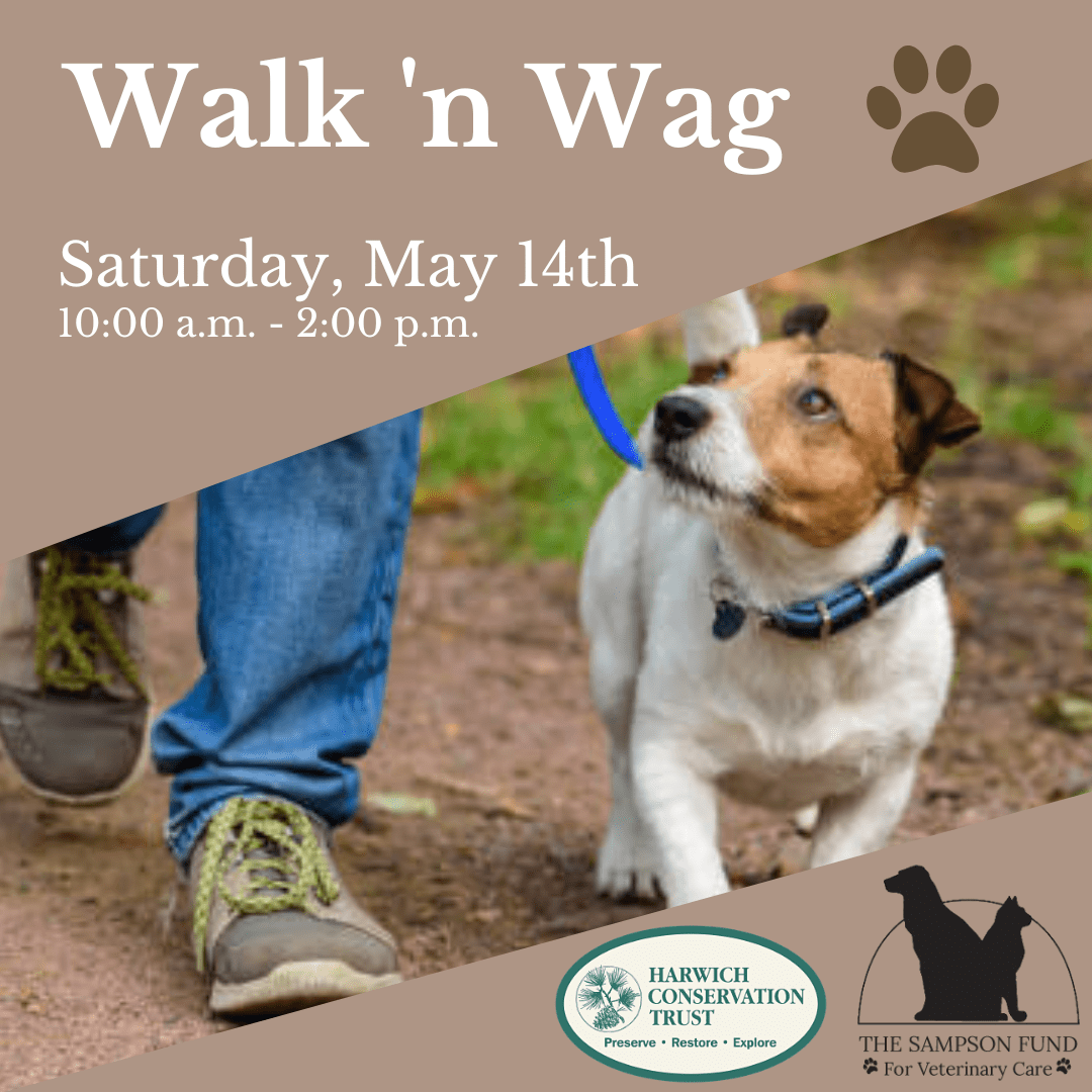 Join us for Walk ‘n Wag! Harwich Conservation Trust