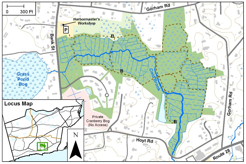 Cold Brook Legion Cold Brook Ny at Sweeney blog