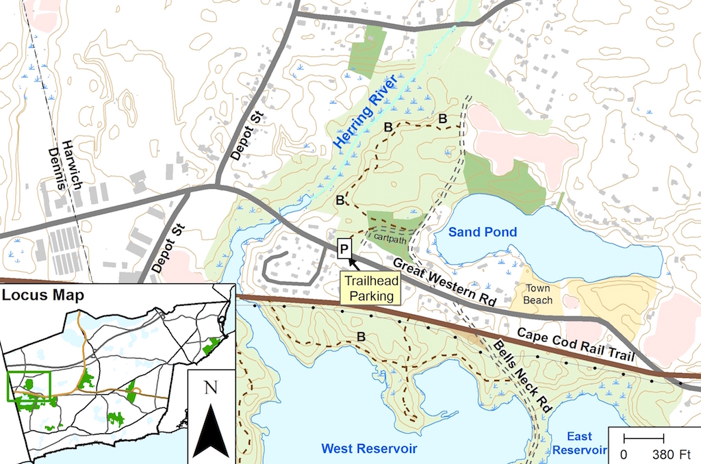 Sand Pond Woodlands Harwich Conservation Trust