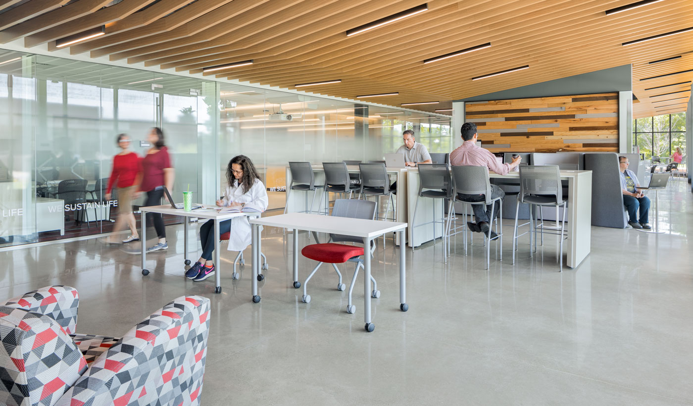 A leader in sustainable building design OSU's Wooster science building