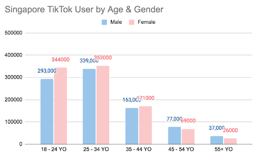 A Beginner's Guide to TikTok Marketing in Singapore 2021 Hashmeta