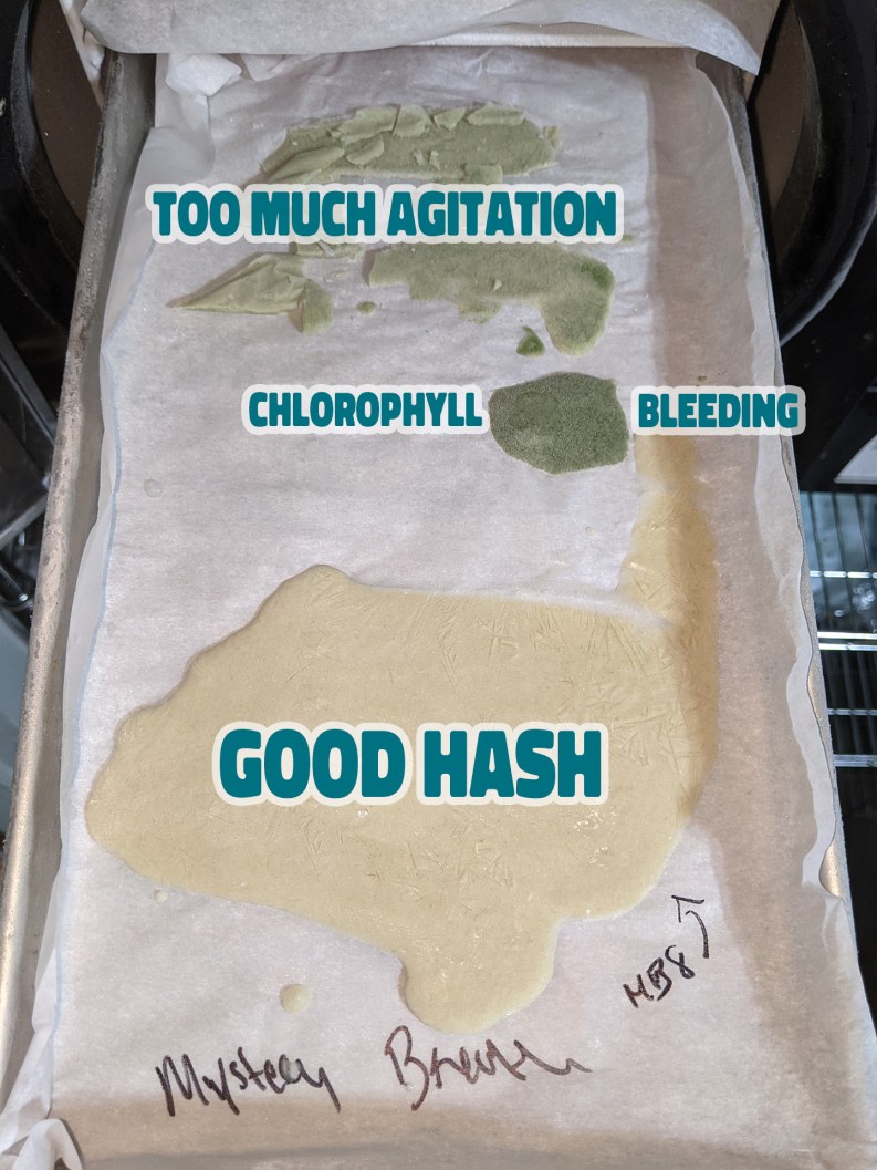 How to Make Bubble Hash Like a Pro Hashtek