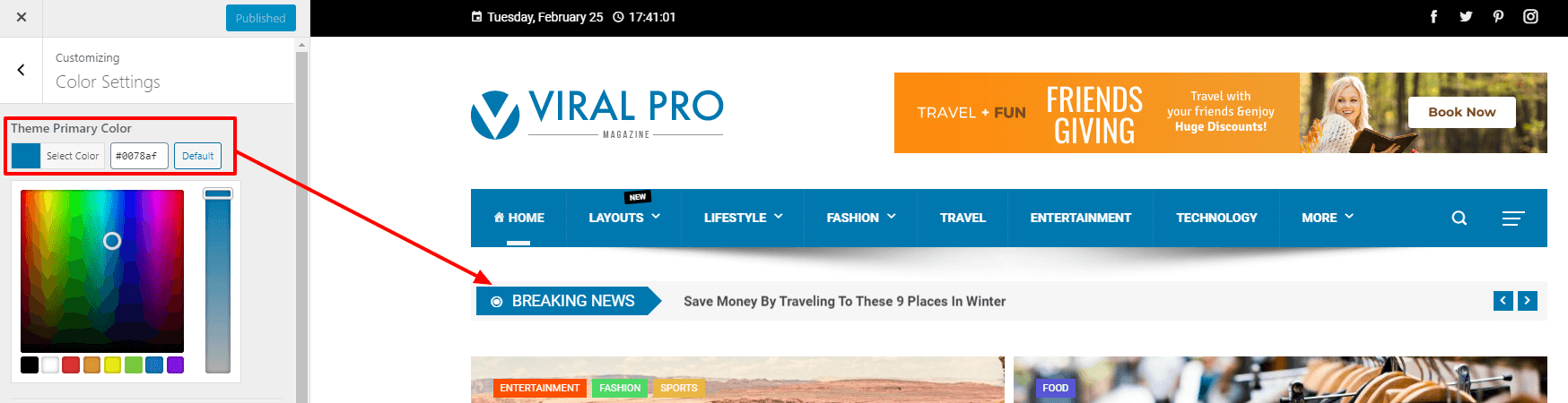 Viral Pro Documentation - HashThemes