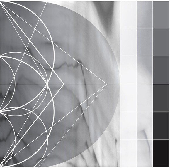 Ricardo Donoso Assimilating The Shadow