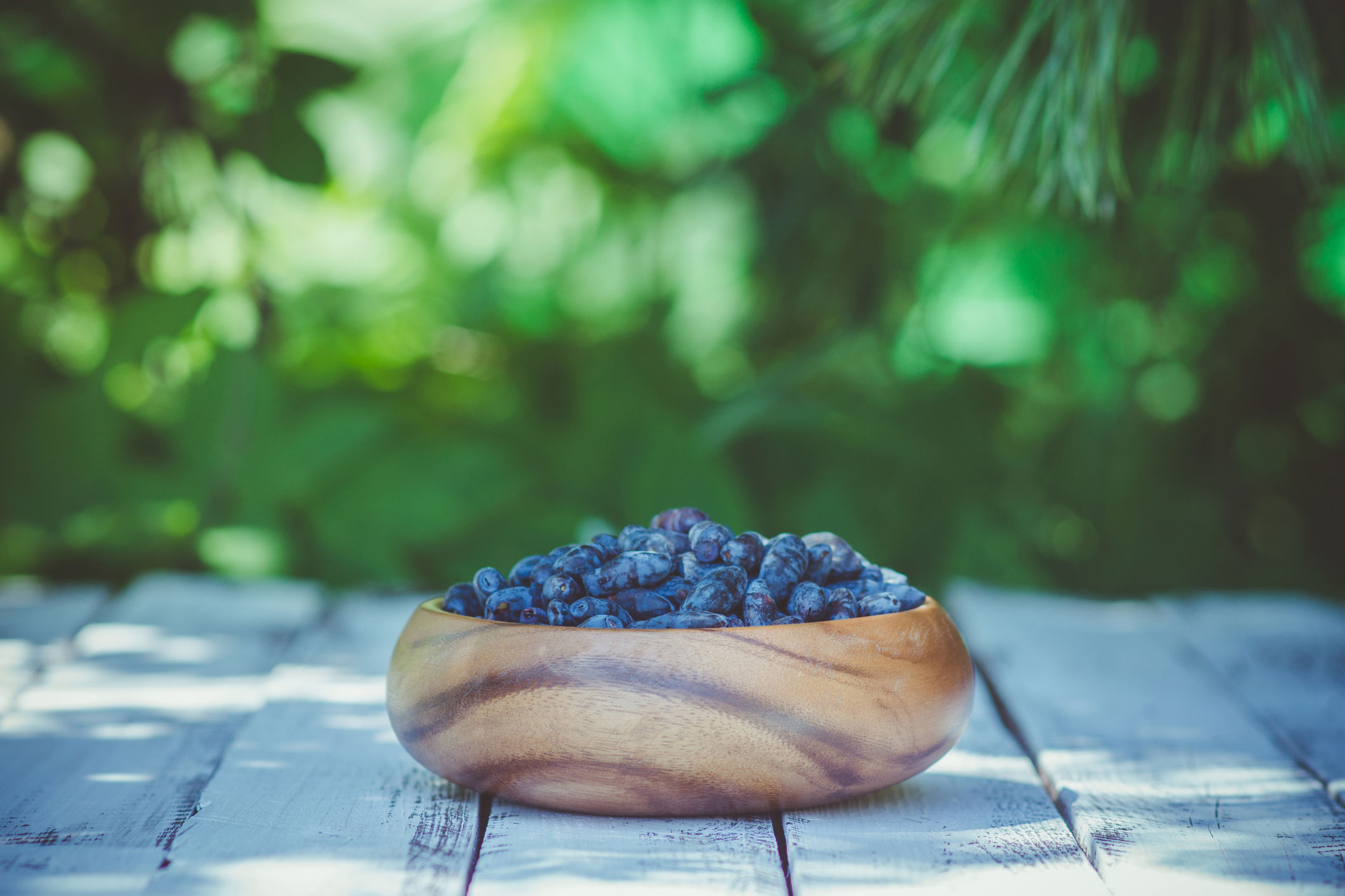 Haskap Canada Events 2023 Haskap Canada Association Haskap Canada Association