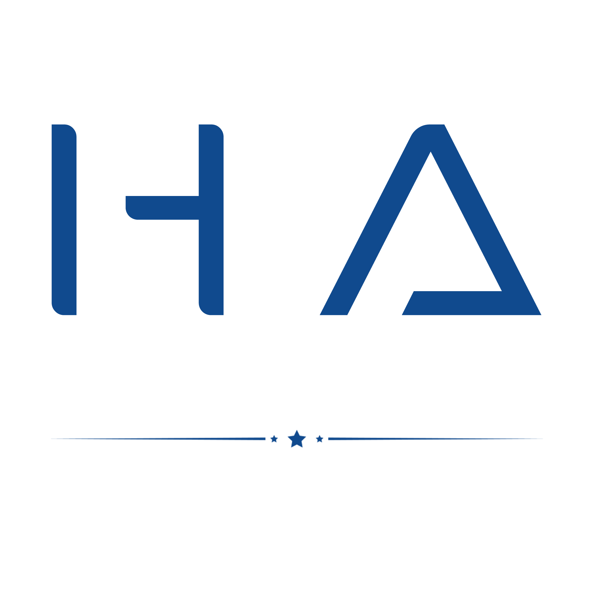 Hassan Adel