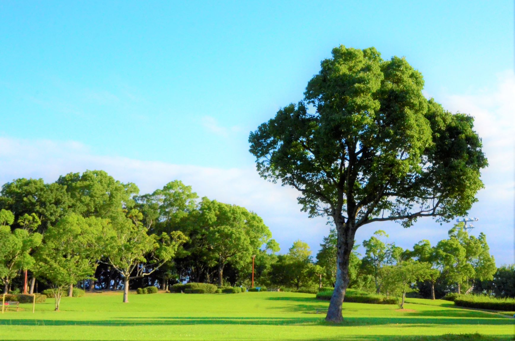 Early morning park where the morning sun is comfortable HATCH