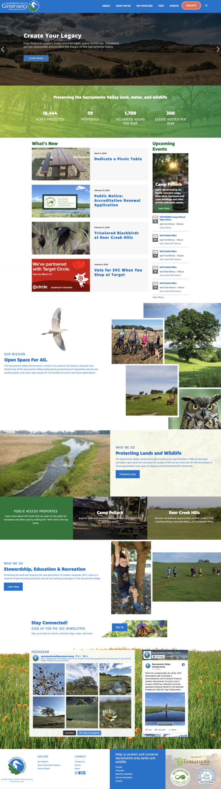 svc Hatchback Creative