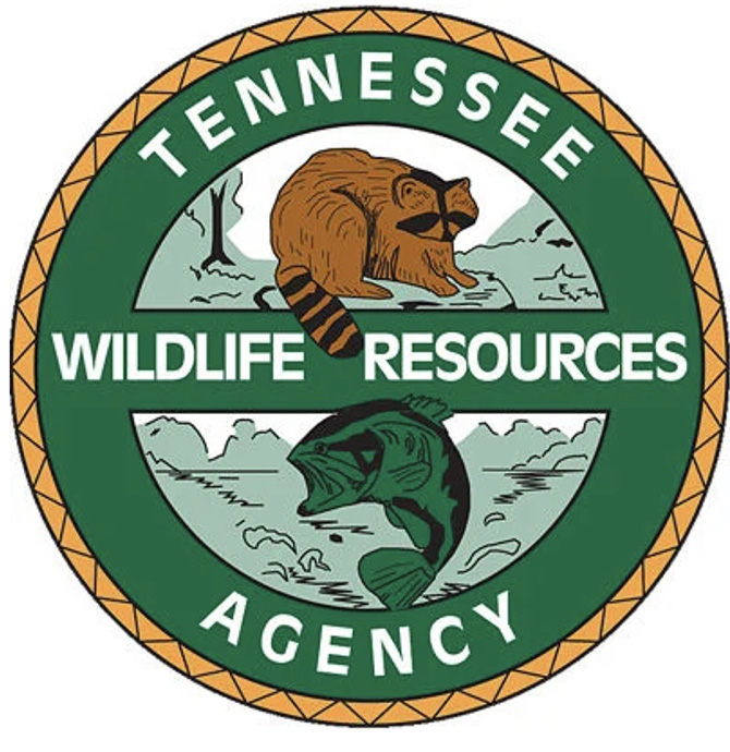 TWRA Requests Your Input for 2023 Fishing Regulations Hatchie Press