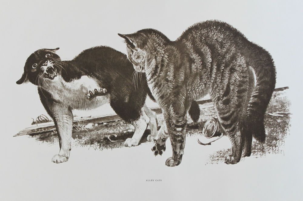 1900 Isaac, the Bank Cat of Grand Street Who Stopped an Attempted Cat