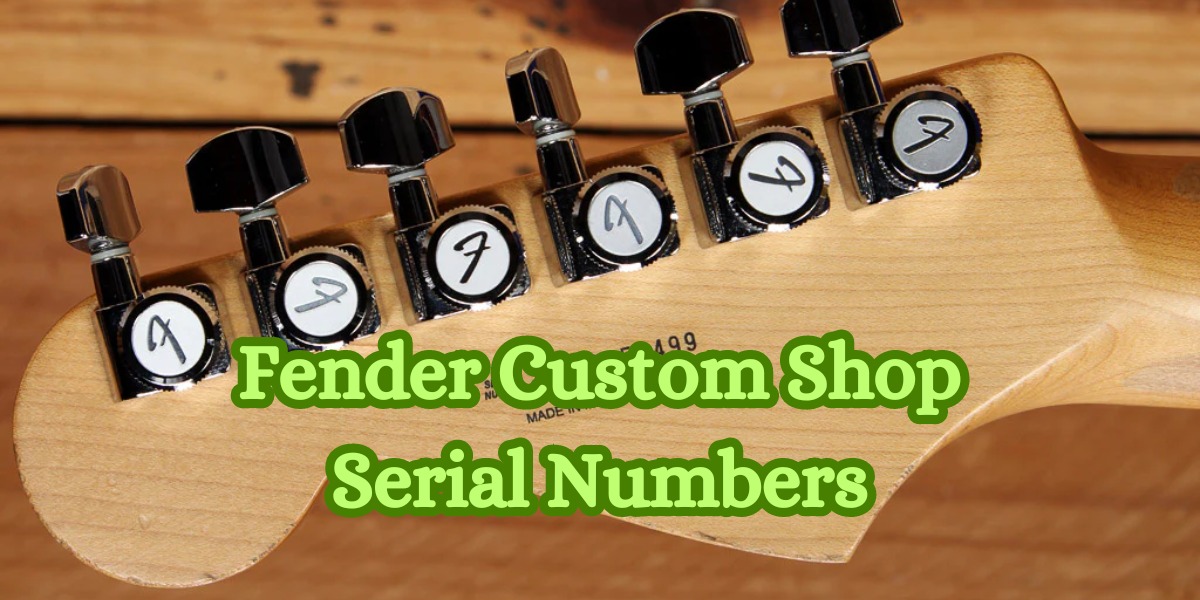 Fender Custom Shop Serial Numbers Decoding Your Guitar
