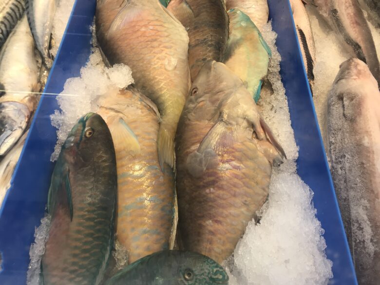 アメリカの魚の買い方『怪しい種類』の正体は?日本語で本当は食べたら美味い奴17連発。