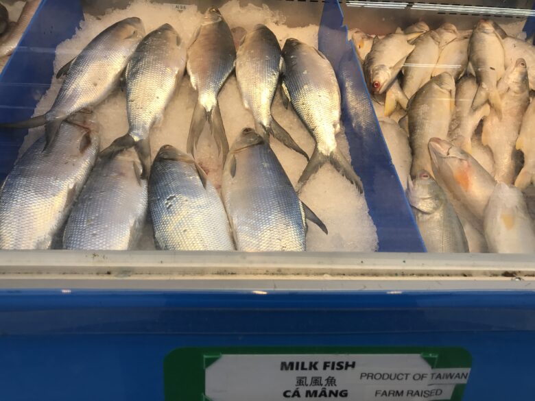 選択した画像 魚 ひれ 名前 327632魚 ヒレ 名前