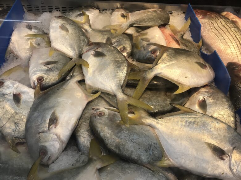 [最新] 魚 ヒレ 種類 106432魚 ヒレ 種類 ductanlujp