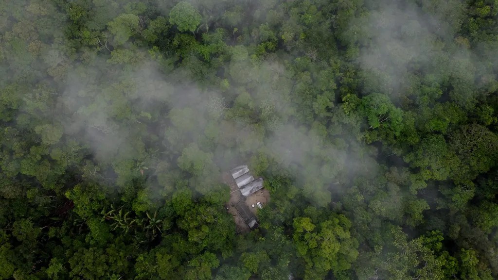 The Amazon Rainforest & its Indigenous Tribes The Hatters' Herald