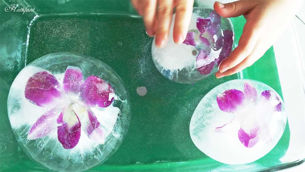 Frozen Orchid Ice Ball Party Play & Decoration Hattifant