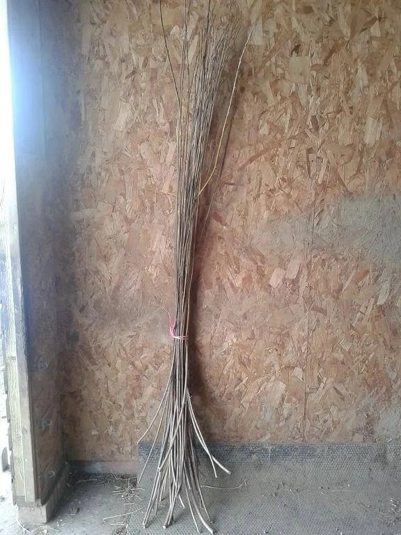 9 foot dried willow bundle Hatton Willow